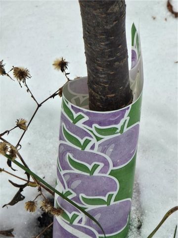 699 Kilroy Road, Oxford, NY 13830