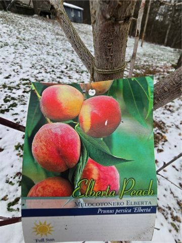 699 Kilroy Road, Oxford, NY 13830