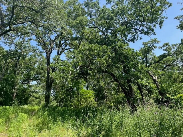 Lot 44 Antrim Ct, Poolville, TX 76487
