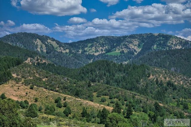 162 Wapiti Run, Swan Valley, ID 83449