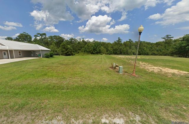 17240 Tchula Dr, Springfield, LA 70462