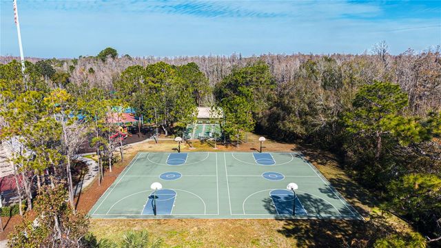 1128 HELMSDALE DRIVE, Wesley Chapel, FL 33543