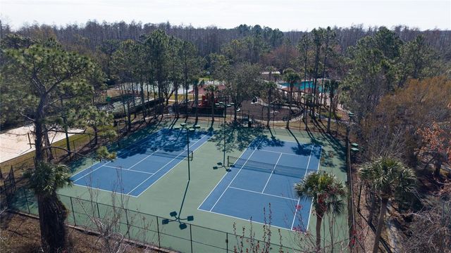 1128 HELMSDALE DRIVE, Wesley Chapel, FL 33543