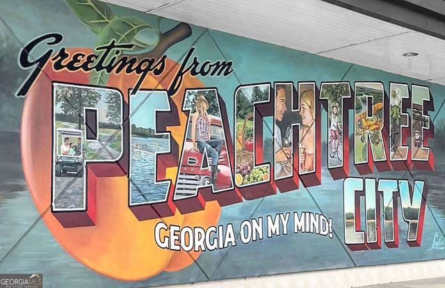 153 Lakeside Drive, Peachtree City, GA 30269