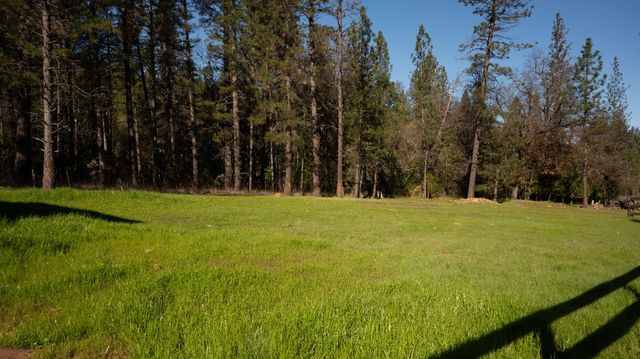 16558 Frenchtown Rd, Brownsville, CA 95919