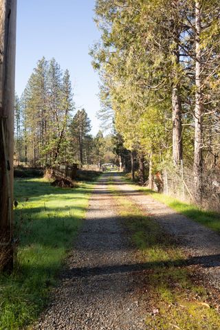 16558 Frenchtown Rd, Brownsville, CA 95919