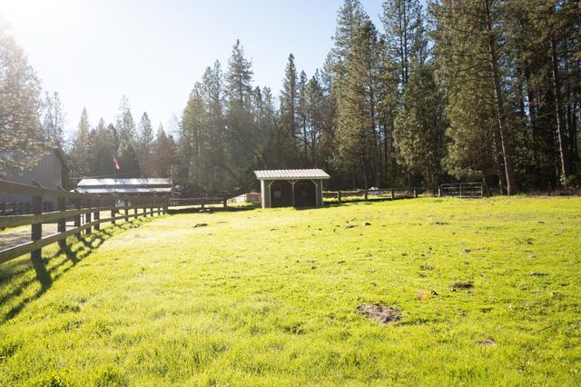 16558 Frenchtown Rd, Brownsville, CA 95919