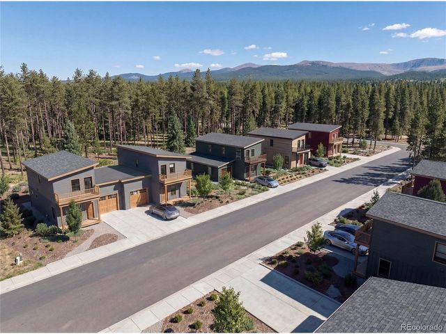 101 Timber Ranch Dr, Leadville, CO 80461