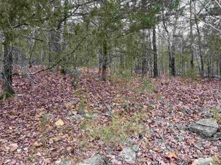 TBD Isleta Drive, Cherokee Village, AR 72529