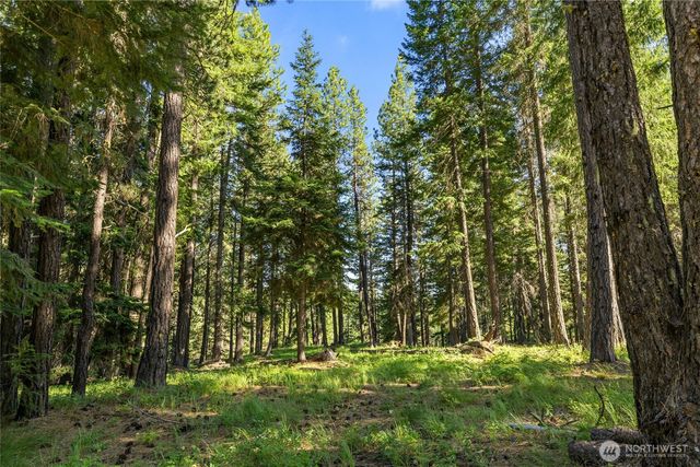 432 Hub Lane, Cle Elum, WA 98922