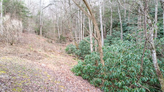 13660 Asheville Highway, Greeneville, TN 37743