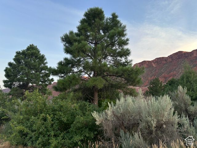 9 CHAMISA LN, Castle Valley, UT 84532