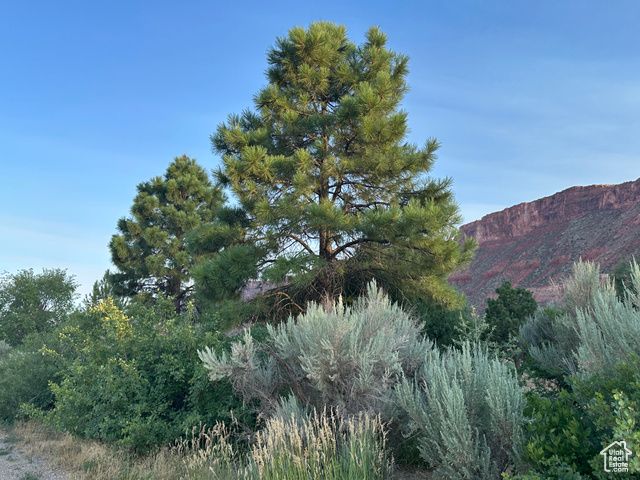 9 CHAMISA LN, Castle Valley, UT 84532