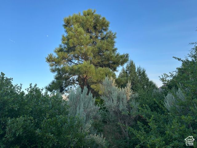 9 CHAMISA LN, Castle Valley, UT 84532