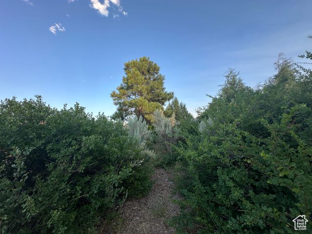 9 CHAMISA LN, Castle Valley, UT 84532