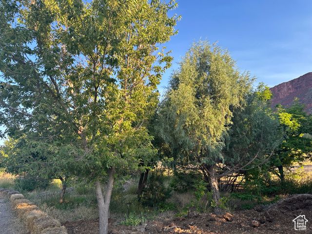 9 CHAMISA LN, Castle Valley, UT 84532