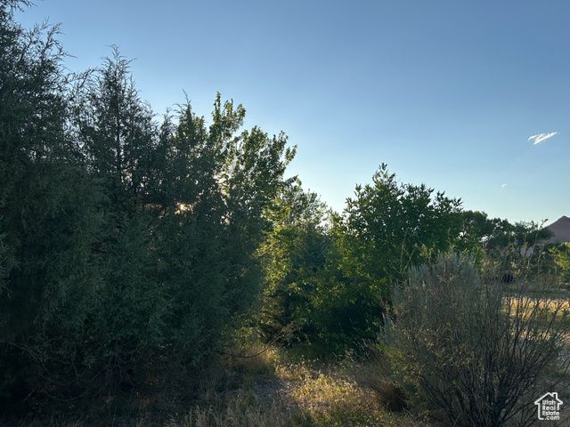 9 CHAMISA LN, Castle Valley, UT 84532