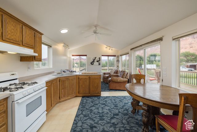 9 CHAMISA LN, Castle Valley, UT 84532