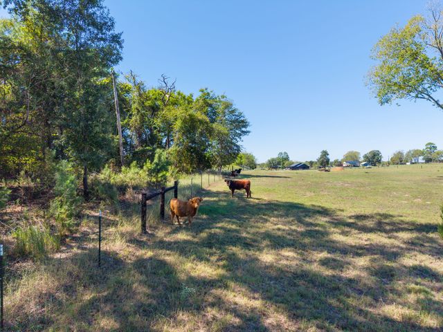 13127 S County Road 246, Arp, TX 75750