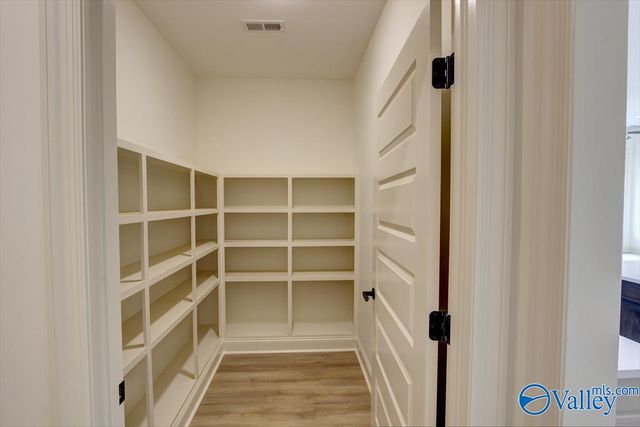 12416 Narayan Street, Madison, AL 35756