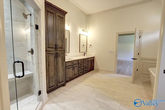 12416 Narayan Street, Madison, AL 35756