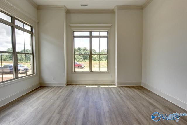 12416 Narayan Street, Madison, AL 35756