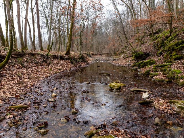 0 Shelter Branch Road, Cumberland Furnace, TN 37051