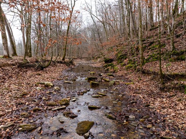 0 Shelter Branch Road, Cumberland Furnace, TN 37051