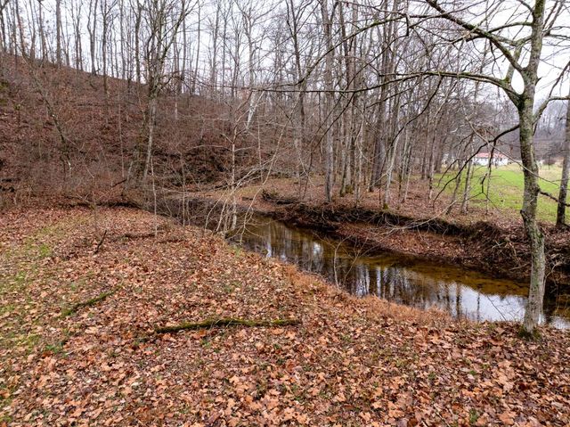 0 Shelter Branch Road, Cumberland Furnace, TN 37051