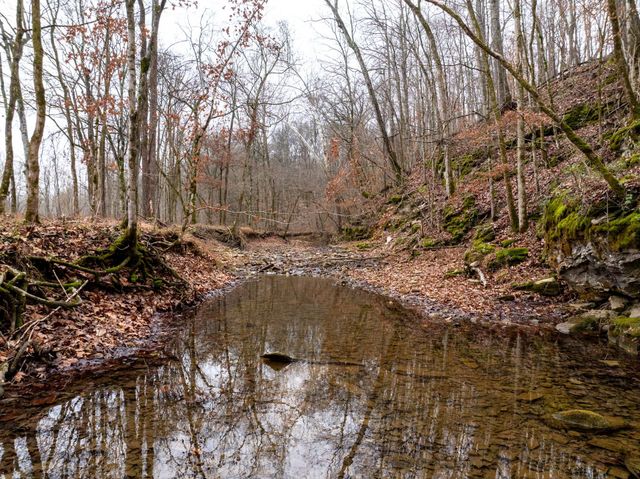 0 Shelter Branch Road, Cumberland Furnace, TN 37051