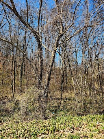 8821 Gann Road 1, Soddy Daisy, TN 37379