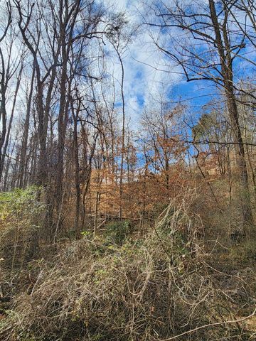 8821 Gann Road 1, Soddy Daisy, TN 37379