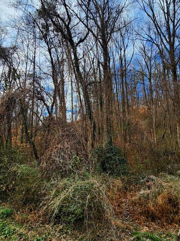 8821 Gann Road 1, Soddy Daisy, TN 37379