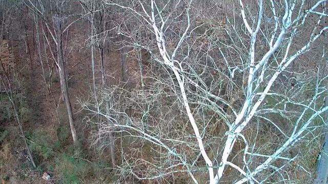 8821 Gann Road 1, Soddy Daisy, TN 37379