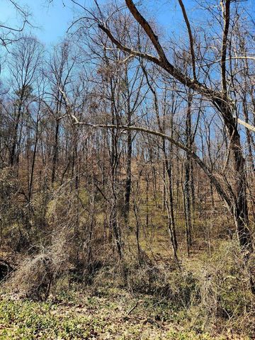 8821 Gann Road 1, Soddy Daisy, TN 37379
