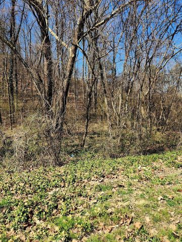 8821 Gann Road 1, Soddy Daisy, TN 37379