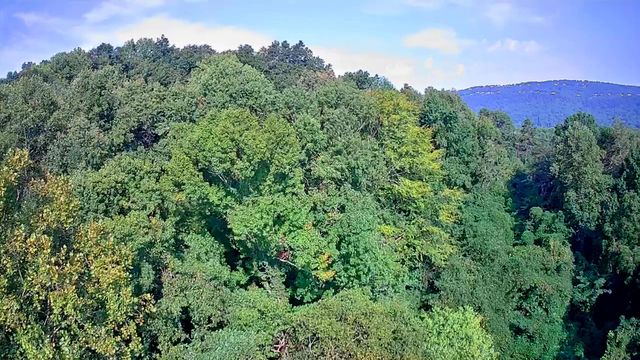 8821 Gann Road 1, Soddy Daisy, TN 37379