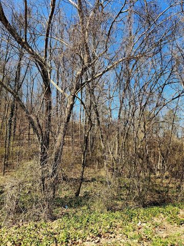 8821 Gann Road 1, Soddy Daisy, TN 37379