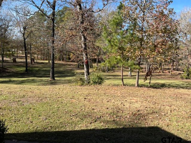 360 ACR 330, Palestine, TX 75803