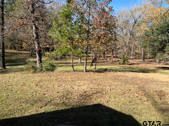 360 ACR 330, Palestine, TX 75803