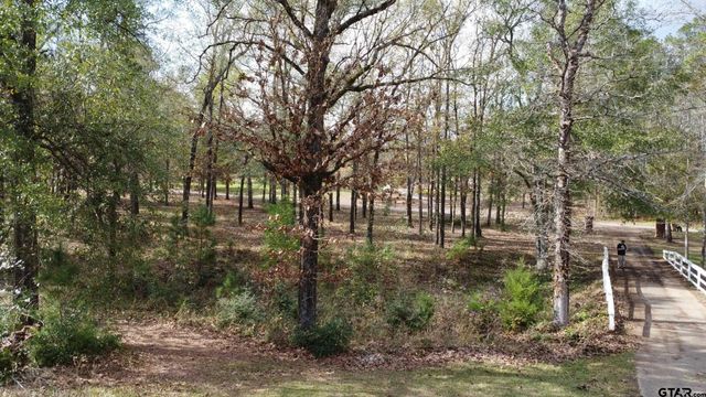 360 ACR 330, Palestine, TX 75803