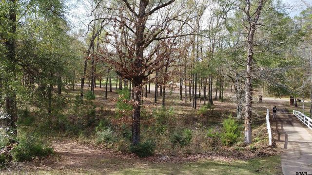 360 ACR 330, Palestine, TX 75803