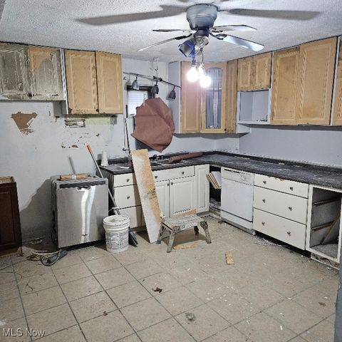 25650 Richards Avenue, Euclid, OH 44132