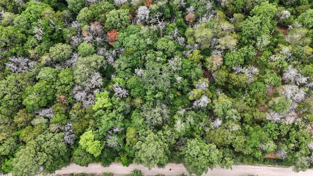 135 Helemano DR, Bastrop, TX 78602