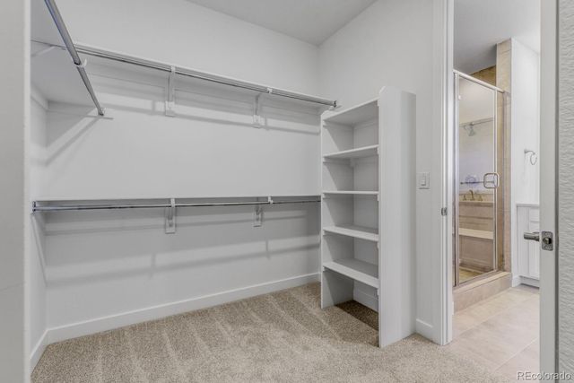 4001 Buttongrass Trail, Castle Rock, CO 80108