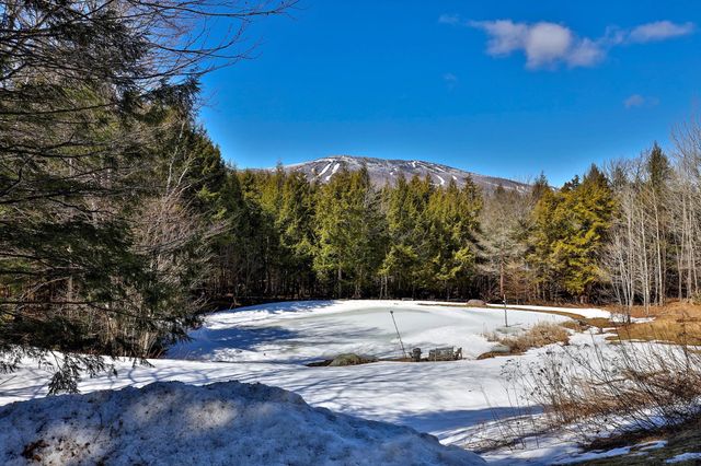 39 Wallis View Lane, Ludlow, VT 05149