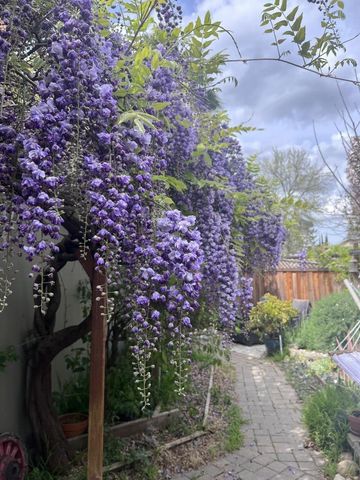 1660 Tawnygate Way, San Jose, CA 95124