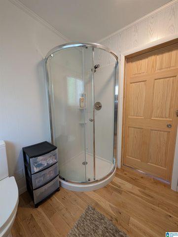 181 SLOUGHSIDE DRIVE, Adger, AL 35006