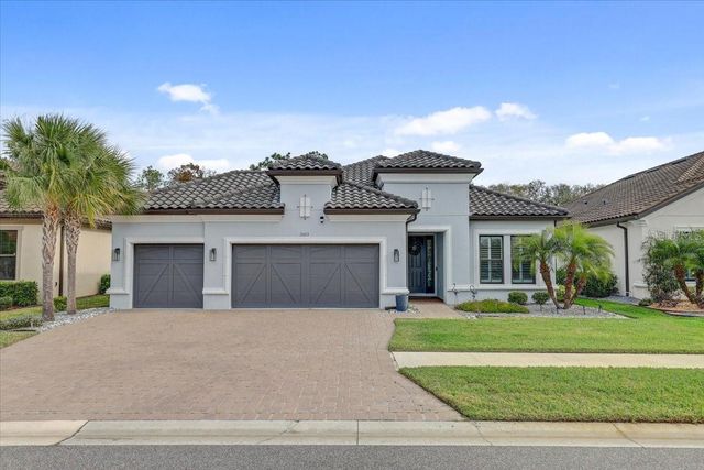 20113 UMBRIA HILL DRIVE, Tampa, FL 33647