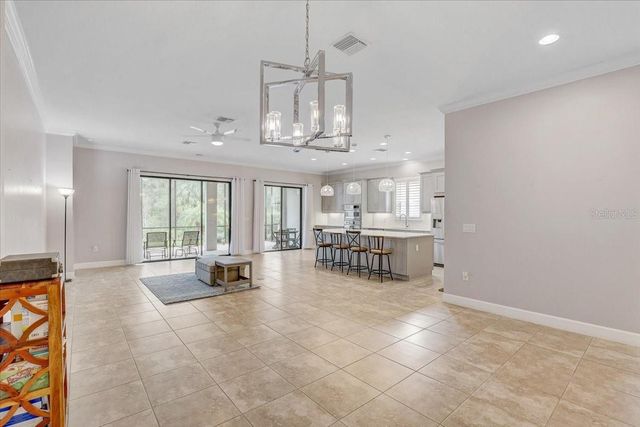 20113 UMBRIA HILL DRIVE, Tampa, FL 33647